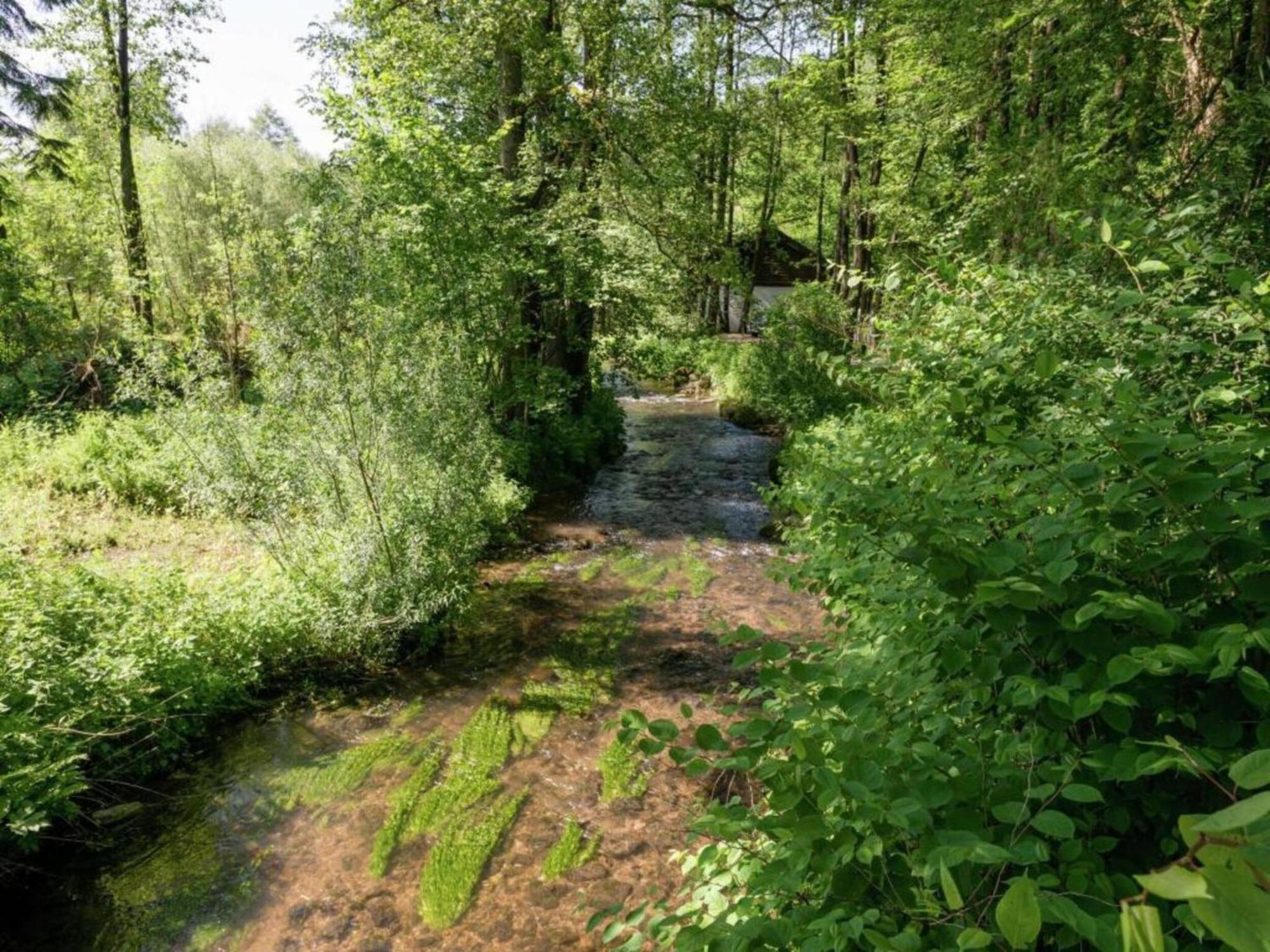 Cozy Cottage In Malmedy With Large Garden Extérieur photo